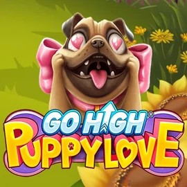 Go High Puppy Love online slot from RubyPlay – play at ringospins.com