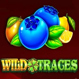 Slots logo of Wild Traces from Amusnet Interactive at Ringospin Casino